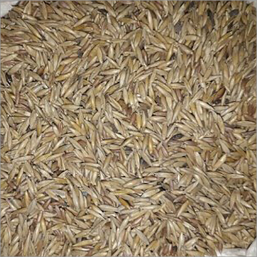 Natural Bamboo Seeds