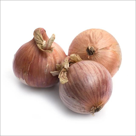 Brown Onion 