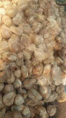 Fresh Brown Husked Coconuts