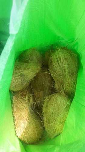 Packed Fresh Semi Husked Coconuts