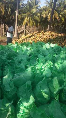 Brown Fresh Coconuts