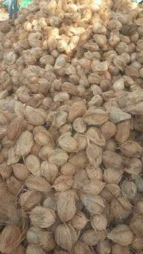 Pollachi Indian Fresh Coconuts