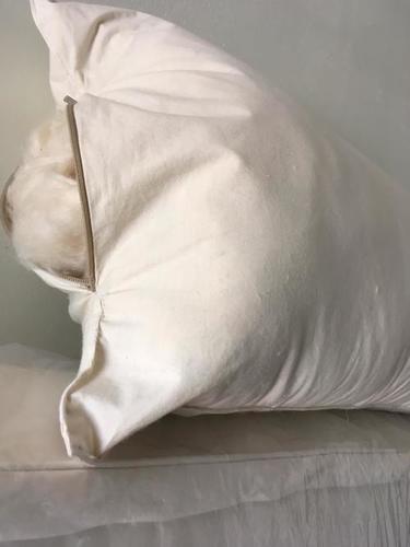 Organic Kapok Body Pillow
