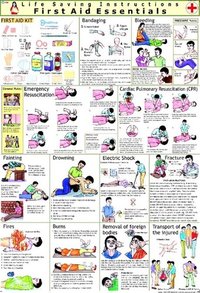 First Aid Chart Dimensions: 70 X 100  Centimeter (cm)
