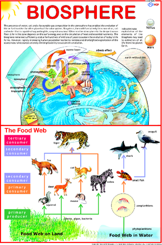 Environment Chart