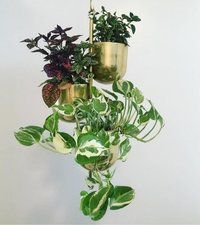 Hanging Metal Planters