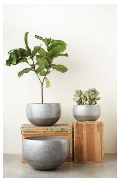 BEAUTIFUL GALVANIZED METAL PLANTER