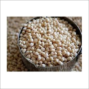 Whole Skinless Urad Dal Whole Skinless Urad Dal