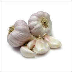 Fresh Garlic Fresh Garlic