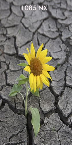 Wall Frame Materials 3D Laminate Sheet