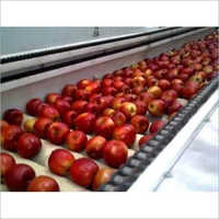 Automatic Apple Grading Machines - Stainless Steel, 2.5-10 Ton Capacity | Includes Feeding Machine, Belt Conveyor, Weighing Scales, Visual Inspection Unit