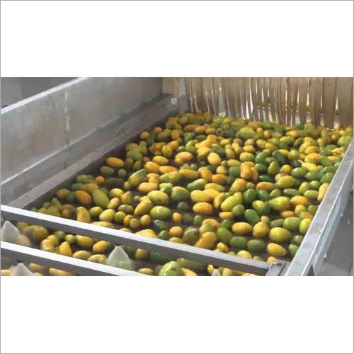 Automatic Mango Grading Machine