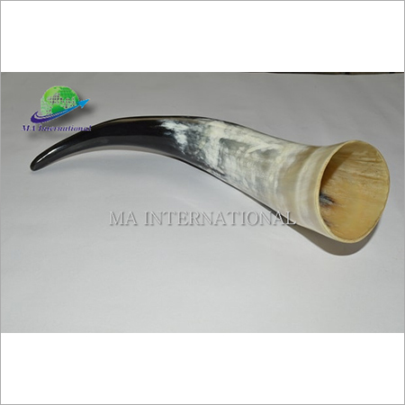 BUFFALO DRINKING HORN PLAIN