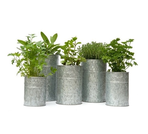 White Galvanised Metal Planters Set Of 5