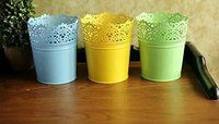 Metal Colorful Half Lace Bucket For Flower Pots