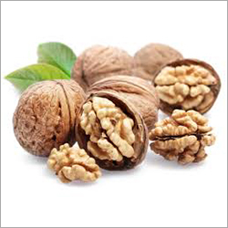 Brown Fresh Walnut