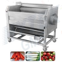 Fruits And Vegetables Washing Machine