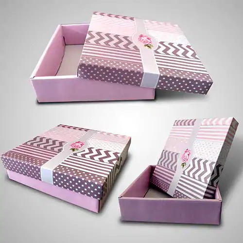 Gift Box By S. B. Packs & Prints