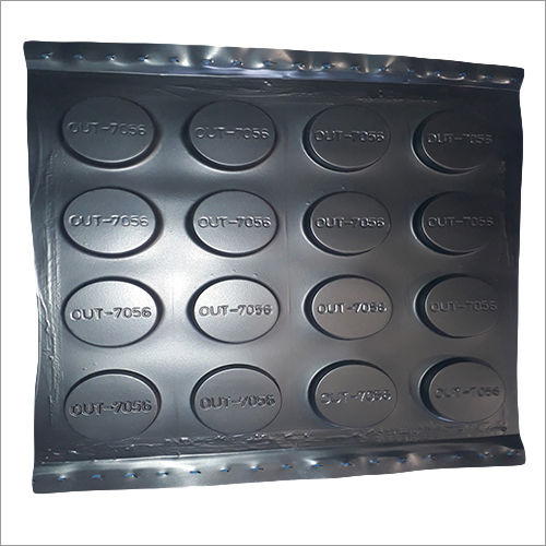 Thermoformed Plastic Tray