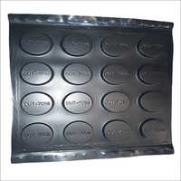 Thermoformed Plastic Tray