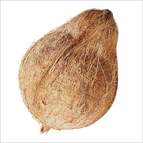 Semi Husked Coconut Semi Husked Coconut