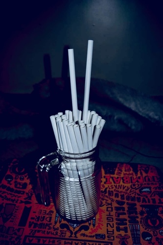 White Plain Solid Disposable Paper Straw