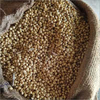 Yellow Fresh Soybean Seeds