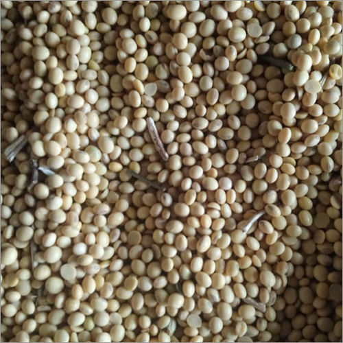 White Soybean Seeds