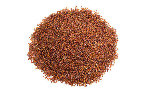 Red quinoa