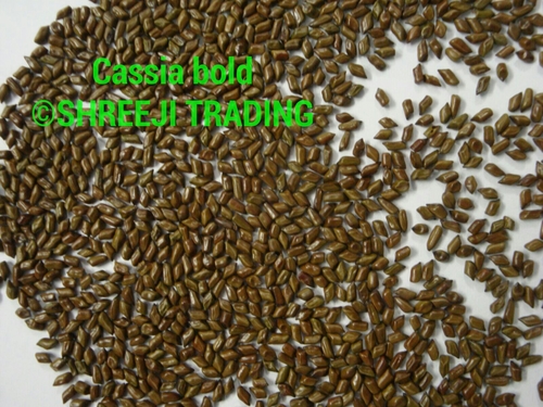 CASSIA TORA