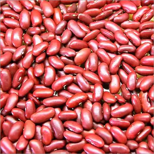 Red Kidney Bean - Red Color, Varied Size, Low Moisture | High Protein, Good Fiber, Long Shelf Life, Energy Boost, Digestive Health