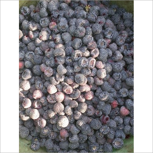 Frozen Raspberry Frozen Raspberry