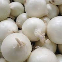 White Onion