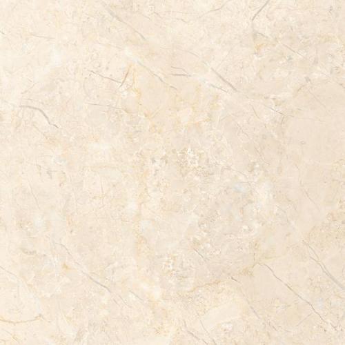 Porcelain Tiles 800X800 mm