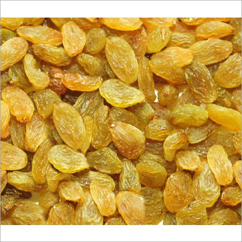 Gmo Dry Raisin
