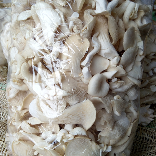 Fresh Organic Dried Mushrooms