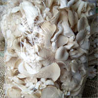 Fresh Organic Dried Mushrooms