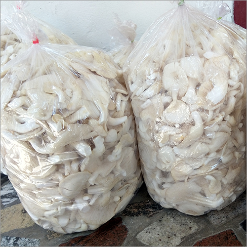 Fresh Button Mushroom