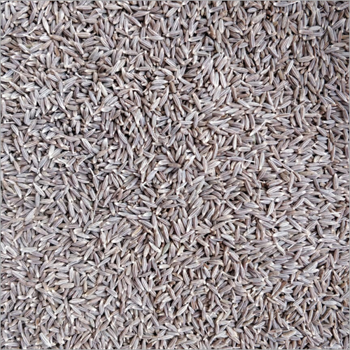 Black Cumin Seed