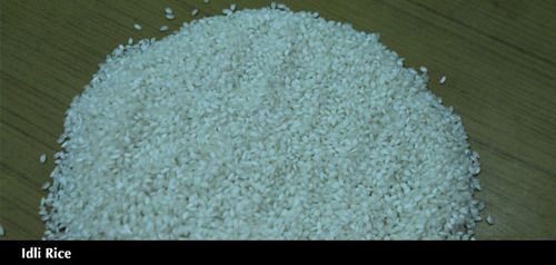 Common Idly Rice