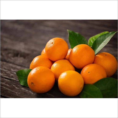Round Fresh Orange