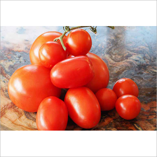 Red Tomato - Moisture 99% Round Shape Shelf Life 15-20 Days | Enriched with Iron Vitamins Non-Chemical Fertilizers Perfect for Sauces and Purees