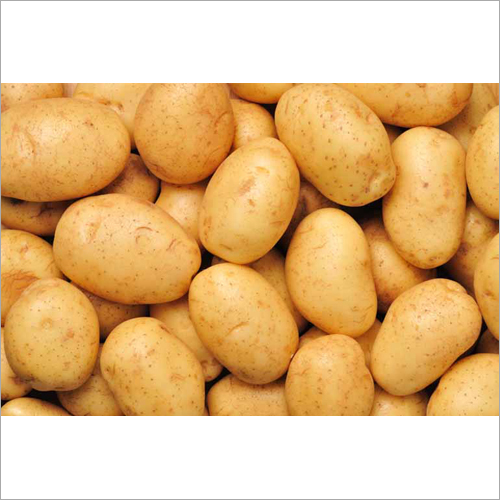 Fresh Potato Moisture (%): 99%