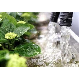 Water Soluble Organic Fertilizer