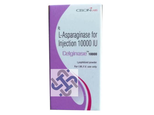 Celginase Asparaginase 10000IU Injection