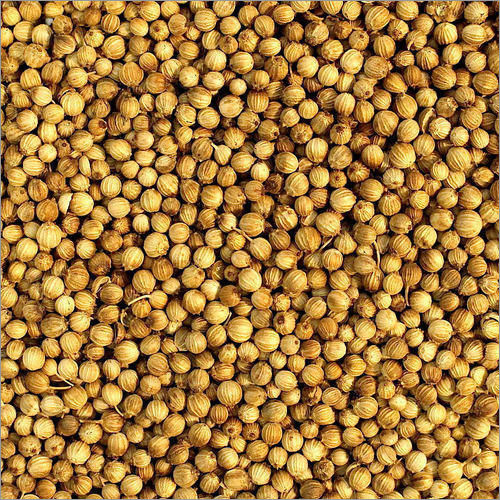 Coriander Seeds