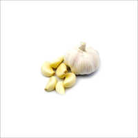 Garlic Buds