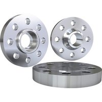 Forged Flanges - Stainless Steel, Polished Silver Finish | Hardware Parts, Ring Shape