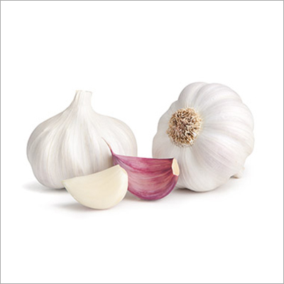 Fresh Garlic