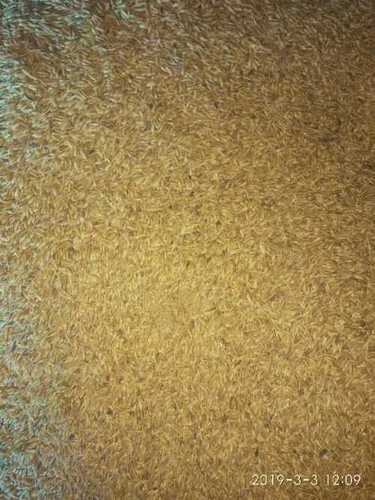 Natural Rice Paddy